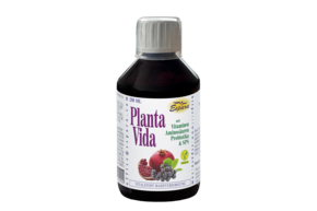 Espara Planta Vida Kräuter-Basis-Elixier, A-Nr.: 3833321 - 01