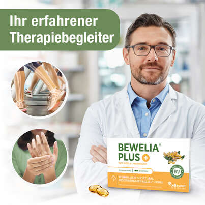 Sie sehen eine Packung Mizell Weihrauch Kapseln – 50-fach bioverfügbar mit Vitamin K2 – 600 mg & 250 mg AKBA, Produktbild: 02 Mizell Weihrauch Kapseln – 50-fach bioverfügbar mit Vitamin K2 – 600 mg & 250 mg AKBA, A-Nr.: 5614238 - 02