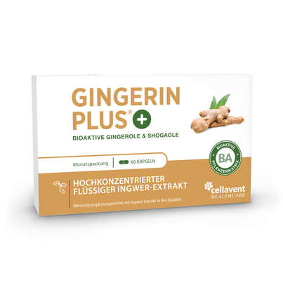 Sie sehen eine Packung Ingwer Kapseln - Bio Ingwer-Extrakt - flüssig - Gingerol & Shogaol hochdosiert, Produktbild: 01 Ingwer Kapseln - Bio Ingwer-Extrakt - flüssig - Gingerol & Shogaol hochdosiert, A-Nr.: 5037083 - 01