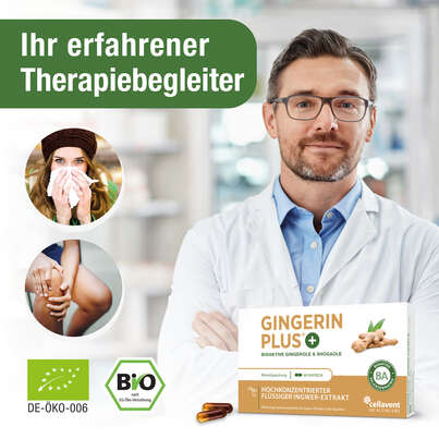 Sie sehen eine Packung Ingwer Kapseln - Bio Ingwer-Extrakt - flüssig - Gingerol & Shogaol hochdosiert, Produktbild: 02 Ingwer Kapseln - Bio Ingwer-Extrakt - flüssig - Gingerol & Shogaol hochdosiert, A-Nr.: 5037083 - 02