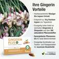Sie sehen eine Packung Ingwer Kapseln - Bio Ingwer-Extrakt - flüssig - Gingerol & Shogaol hochdosiert, Produktbild: 03 Ingwer Kapseln - Bio Ingwer-Extrakt - flüssig - Gingerol & Shogaol hochdosiert, A-Nr.: 5037083 - 03