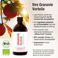 Bio-Granatapfel-Konzentrat – 45.000mg Polyphenole/L – Kraft von 90 Granatäpfeln pro 500ml – 25 Portionen, A-Nr.: 5895705 - 03
