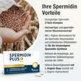 Sie sehen eine Packung Spermidin Kapseln – Weizenkeim-Extrakt – mit L-Arginin und Bifidobakterien – 2-fach Komplex steigert körpereigene Spermidin Synthese, Produktbild: 03 Spermidin Kapseln – Weizenkeim-Extrakt – mit L-Arginin und Bifidobakterien – 2-fach Komplex steigert körpereigene Spermidin Synthese, A-Nr.: 5895846 - 03