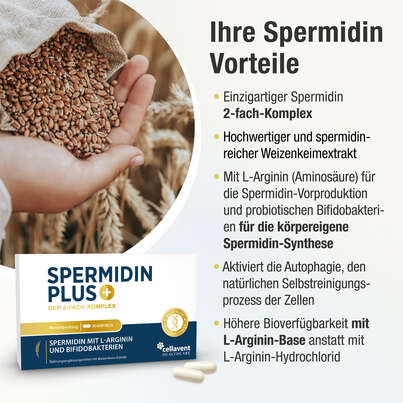Sie sehen eine Packung Spermidin Kapseln – Weizenkeim-Extrakt – mit L-Arginin und Bifidobakterien – 2-fach Komplex steigert körpereigene Spermidin Synthese, Produktbild: 03 Spermidin Kapseln – Weizenkeim-Extrakt – mit L-Arginin und Bifidobakterien – 2-fach Komplex steigert körpereigene Spermidin Synthese, A-Nr.: 5895846 - 03