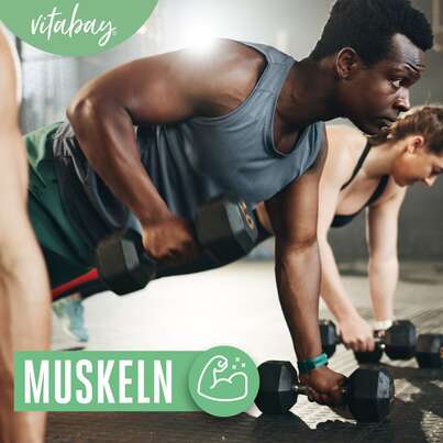 Vitabay Taurin 1000 mg Kapseln, A-Nr.: 5878693 - 03