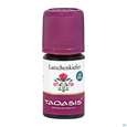 Aetherische Oele Taoasis Bio Latschenkiefer 5ml, A-Nr.: 4372603 - 01