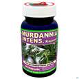 Sie sehen eine Packung Murdannia Intense Kapseln Extrakt (10:1) 100mg +pulver 180mg 60st, Produktbild: 01 Murdannia Intense Kapseln Extrakt (10:1) 100mg +pulver 180mg 60st, A-Nr.: 4829008 - 01