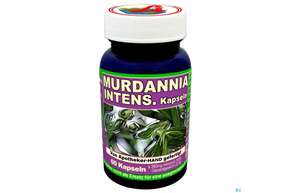 Murdannia Intense Kapseln Extrakt (10:1) 100mg +pulver 180mg 60st, A-Nr.: 4829008 - 01