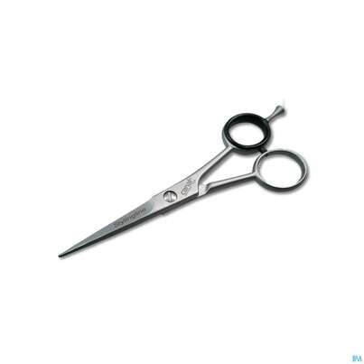 Sie sehen eine Packung Scheren Canal Rostfrei/mikroverzahnung Haarschere 13cm 1065- 1st, Produktbild: 01 Scheren Canal Rostfrei/mikroverzahnung Haarschere 13cm 1065- 1st, A-Nr.: 4881635 - 01