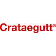 Crataegutt® 450mg - Filmtabletten, A-Nr.: 4215660 - 05