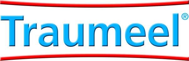 Sie sehen eine Packung Traumeel®-Gel, Produktbild: 05 Traumeel®-Gel, A-Nr.: 3929707 - 05