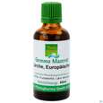Gemmo Mazerat Laerche Europaeische Larix Decidua Phytopharma 50ml, A-Nr.: 5289790 - 01