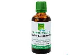 Gemmo Mazerat Laerche Europaeische Larix Decidua Phytopharma 50ml, A-Nr.: 5289790 - 01