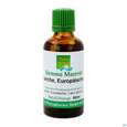 Gemmo Mazerat Laerche Europaeische Larix Decidua Phytopharma 50ml, A-Nr.: 5289790 - 02
