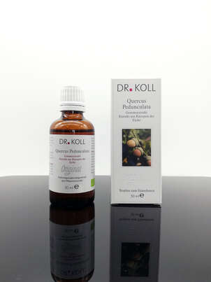 Sie sehen eine Packung Gemmoextrakt Eiche, Produktbild: 01 Gemmoextrakt Eiche, A-Nr.: 5238574 - 01