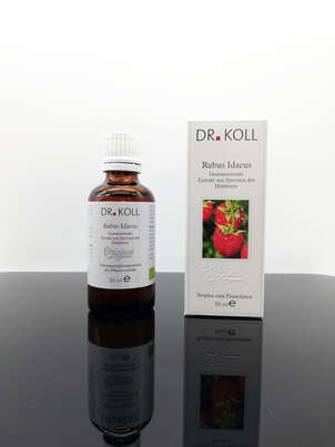 Sie sehen eine Packung Gemmoextrakt Himbeere, Produktbild: 01 Gemmoextrakt Himbeere, A-Nr.: 5238611 - 01