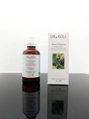 Sie sehen eine Packung Gemmoextrakt schwarze Johannisbeere, Produktbild: 01 Gemmoextrakt schwarze Johannisbeere, A-Nr.: 5238580 - 01