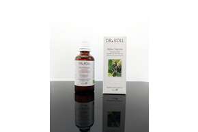 Gemmoextrakt schwarze Johannisbeere, A-Nr.: 5238580 - 01