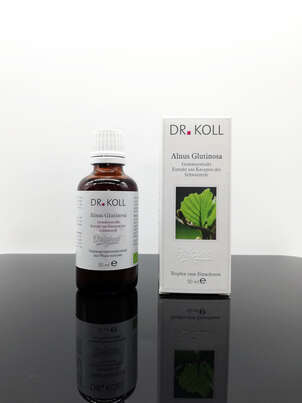 Gemmoextrakt Schwarzerle, A-Nr.: 5238479 - 01