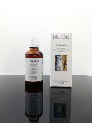 Sie sehen eine Packung Gemmoextrakt Silberbirke, Produktbild: 01 Gemmoextrakt Silberbirke, A-Nr.: 5238485 - 01