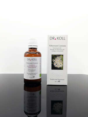 Sie sehen eine Packung Gemmoextrakt wolliger Schneeball, Produktbild: 01 Gemmoextrakt wolliger Schneeball, A-Nr.: 5238663 - 01