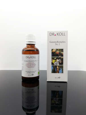 Sie sehen eine Packung Gemmokomplex Nr. 2, Produktbild: 01 Gemmokomplex Nr. 2, A-Nr.: 5238700 - 01