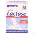 Sie sehen eine Packung Lactase Tabl 28.000 Fcc 80st, Produktbild: 01 Lactase Tabl 28.000 Fcc 80st, A-Nr.: 5296264 - 01