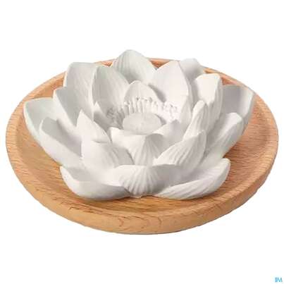 Sie sehen eine Packung Primavera Duftstein Aroma Lotusbluete 1st, Produktbild: 02 Primavera Duftstein Aroma Lotusbluete 1st, A-Nr.: 5477617 - 02