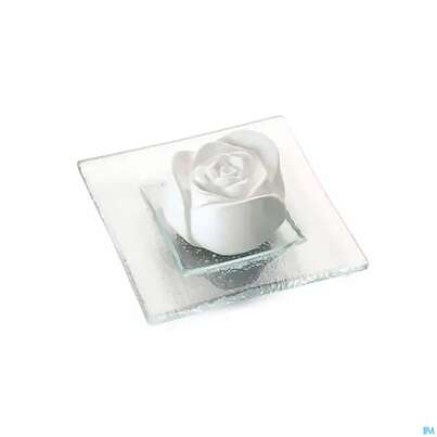 Sie sehen eine Packung Primavera Duftstein Rosenbluete Auf Glasteller Transparent 1st, Produktbild: 01 Primavera Duftstein Rosenbluete Auf Glasteller Transparent 1st, A-Nr.: 3840120 - 01