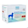 Veterinaerprodukte Reaktiv Tonicum Hunde 90ml 6st, A-Nr.: 3595689 - 02