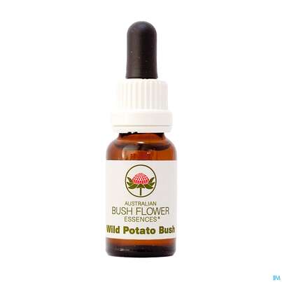 Aub Wild Potato Bush, A-Nr.: 2627453 - 01