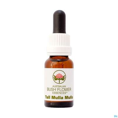 Sie sehen eine Packung Aub Tall Mulla Mulla, Produktbild: 01 Aub Tall Mulla Mulla, A-Nr.: 2627401 - 01