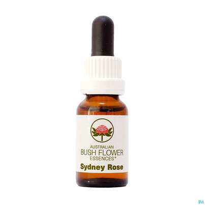 Sie sehen eine Packung Aub Sydney Rose, Produktbild: 01 Aub Sydney Rose, A-Nr.: 3889066 - 01