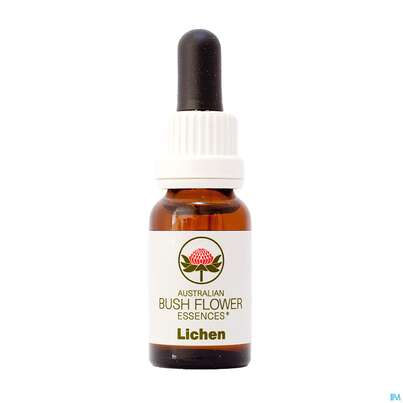 Sie sehen eine Packung Aub Lichen Companion, Produktbild: 01 Aub Lichen Companion, A-Nr.: 3889043 - 01