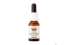 Aub Lichen Companion, A-Nr.: 3889043 - 01