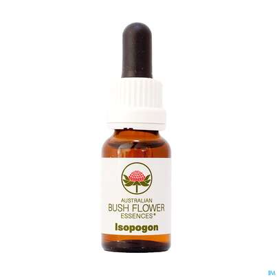 Sie sehen eine Packung Aub Isopogon, Produktbild: 01 Aub Isopogon, A-Nr.: 2627105 - 01