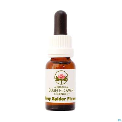 Sie sehen eine Packung Aub Grey Spider Flower, Produktbild: 01 Aub Grey Spider Flower, A-Nr.: 2627068 - 01