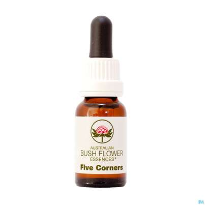 Sie sehen eine Packung Aub Five Corners, Produktbild: 01 Aub Five Corners, A-Nr.: 2627016 - 01