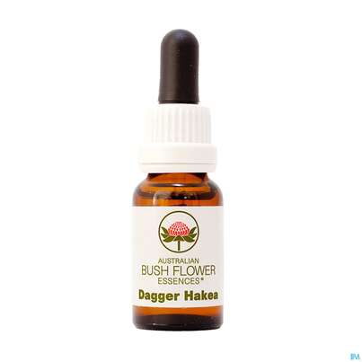 Aub Dagger Hakea, A-Nr.: 2626979 - 01