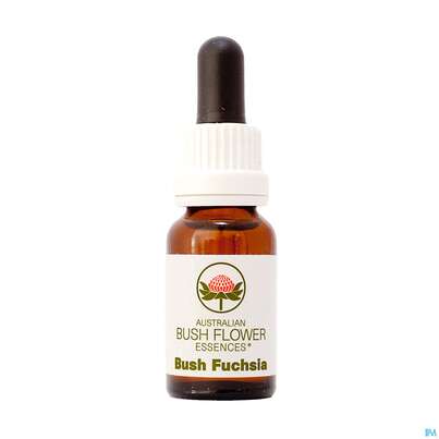 Sie sehen eine Packung Aub Bush Fuchsia, Produktbild: 01 Aub Bush Fuchsia, A-Nr.: 2626927 - 01
