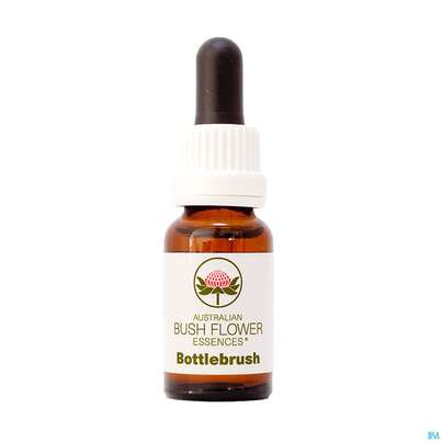 Aub Bottlebrush, A-Nr.: 2626910 - 01