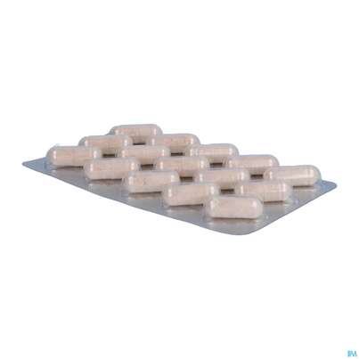 Sie sehen eine Packung Amitamin Kapseln Ovarifert Bei Pcos Inositol Pcos 120st, Produktbild: 06 Amitamin Kapseln Ovarifert Bei Pcos Inositol Pcos 120st, A-Nr.: 4586474 - 06