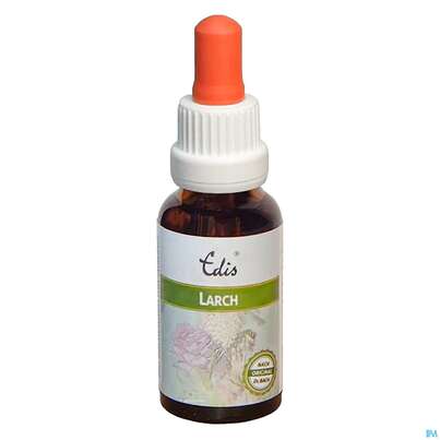 Sie sehen eine Packung Edis Bio 19 Larch Alkoholfrei 20ml, Produktbild: 01 Edis Bio 19 Larch Alkoholfrei 20ml, A-Nr.: 4107657 - 01
