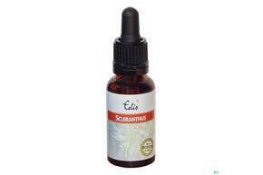 Edis Bio 28 Scleranthus 20ml, A-Nr.: 4108208 - 01