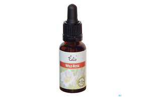 Edis Bio 37 Wild Rose 20ml, A-Nr.: 4108303 - 01