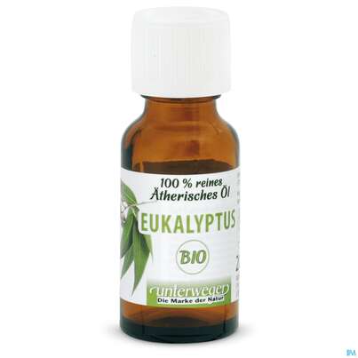 Eukalyptus Oel Bio 20ml, A-Nr.: 5175158 - 01