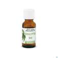Eukalyptus Oel Bio 20ml, A-Nr.: 5175158 - 02