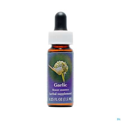 Sie sehen eine Packung Fes Garlic 7,5ml, Produktbild: 01 Fes Garlic 7,5ml, A-Nr.: 2153908 - 01