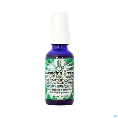 Sie sehen eine Packung Fes Grounding Green 30ml, Produktbild: 01 Fes Grounding Green 30ml, A-Nr.: 3888782 - 01