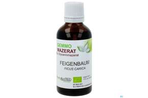 Gemmo Mazerat Bio Phytoaustria Feige Ficus Carica 50ml, A-Nr.: 4597271 - 01